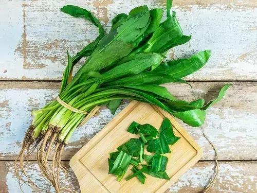 Bà Bầu Ăn Ngò Gai Được Không? Hướng Dẫn Toàn Tập Từ A Đến Z Bà Bầu Ăn Ngò Gai Được Không? Hướng Dẫn Toàn Tập Từ A Đến Z