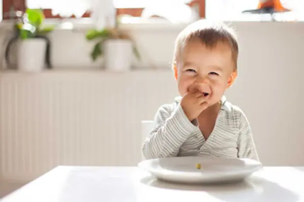 Top 10 Bánh Gạo Ăn Dặm Cho Bé 1 Tuổi Tốt Nhất 2026 Top 10 Bánh Gạo Ăn Dặm Cho Bé 1 Tuổi Tốt Nhất 2026