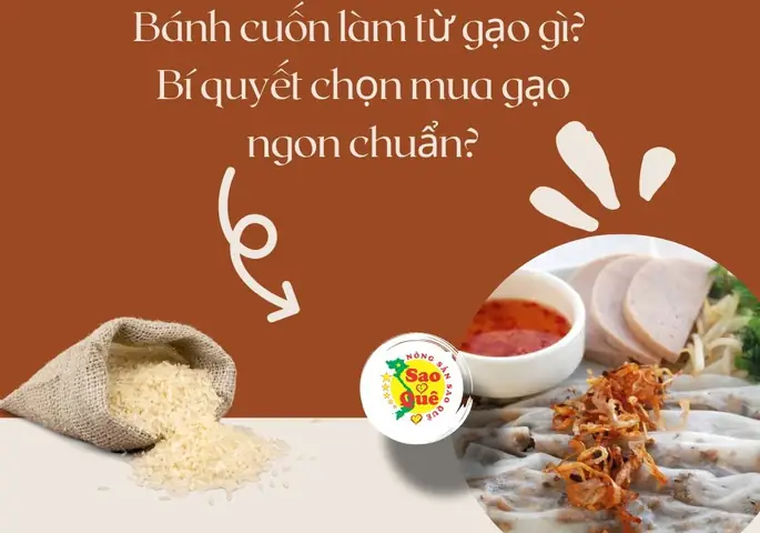 Bánh Gạo Làm Từ Gì? Tổng Hợp Nguyên Liệu Và Bí Quyết Chọn Gạo Ngon Bánh Gạo Làm Từ Gì? Tổng Hợp Nguyên Liệu Và Bí Quyết Chọn Gạo Ngon