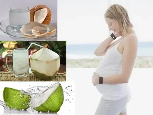 Bà Bầu Ăn Củ Hủ Dừa Được Không? Cách Ăn An Toàn & Bổ Dưỡng Bà Bầu Ăn Củ Hủ Dừa Được Không? Cách Ăn An Toàn & Bổ Dưỡng