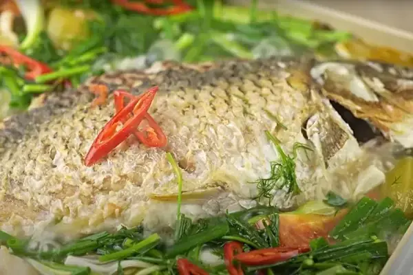 Cá Chép Om Dưa Không Rán: Hướng Dẫn Toàn Tập Từ A Đến Z Cá Chép Om Dưa Không Rán: Hướng Dẫn Toàn Tập Từ A Đến Z