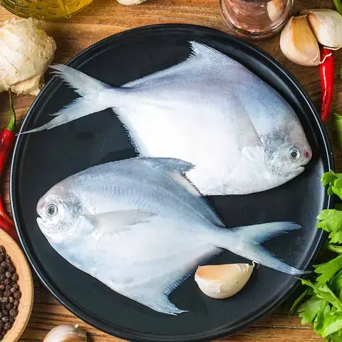 Cá Chim Biển Loại Nào Ngon Nhất? Top 5 Được Sành Ăn Yêu Thích Cá Chim Biển Loại Nào Ngon Nhất? Top 5 Được Sành Ăn Yêu Thích
