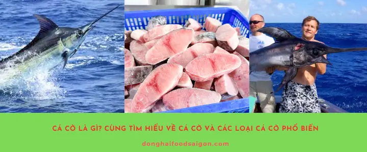 Cá Cờ Là Gì? Giải Đáp Chi Tiết Về Cá Cờ Bộc Và Sự Nhầm Lẫn Với Cá Cờ Biển Cá Cờ Là Gì? Giải Đáp Chi Tiết Về Cá Cờ Bộc Và Sự Nhầm Lẫn Với Cá Cờ Biển