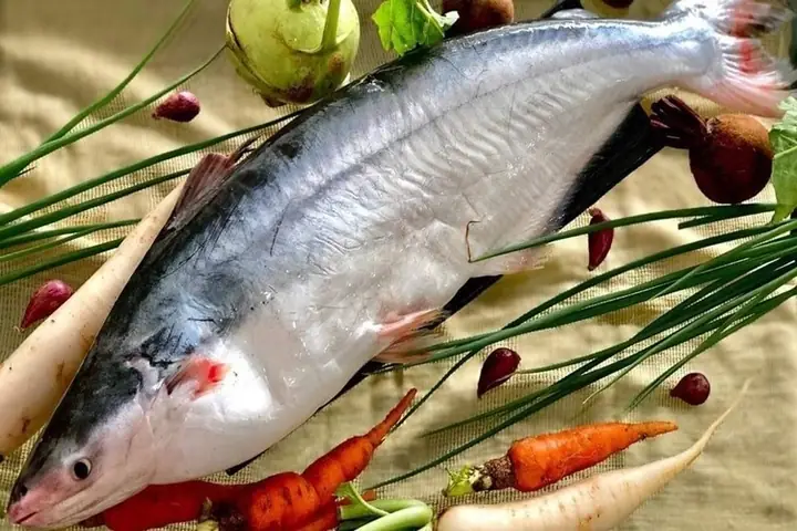 Cá Hú Bao Nhiêu Calo? Khám Phá Giá Trị Dinh Dưỡng & Cách Ăn Lành Mạnh Cá Hú Bao Nhiêu Calo? Khám Phá Giá Trị Dinh Dưỡng & Cách Ăn Lành Mạnh