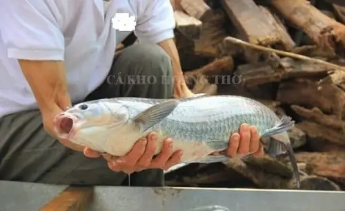 Cá Kho Làng Vũ Đại: Hương Vị Đặc Sản Hà Nam Gợi Nhớ Quê Hương Cá Kho Làng Vũ Đại: Hương Vị Đặc Sản Hà Nam Gợi Nhớ Quê Hương