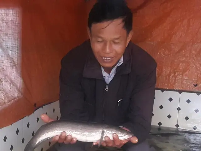 Đánh Giá Mô Hình Kết Hợp Nuôi Cá Sộp Và Trồng Quất Tết: Thu Nhập Trăm Triệu Mỗi Năm? Đánh Giá Mô Hình Kết Hợp Nuôi Cá Sộp Và Trồng Quất Tết: Thu Nhập Trăm Triệu Mỗi Năm?