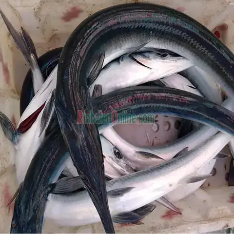Giá Cá Xương Xanh: Cách Xác Định Và Mua Hàng Uy Tín Nhất Giá Cá Xương Xanh: Cách Xác Định Và Mua Hàng Uy Tín Nhất