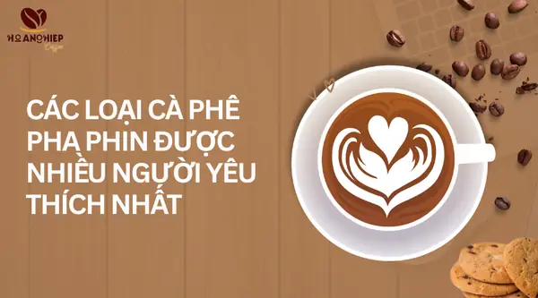 Các Loại Cà Phê Pha Phin Phổ Biến Nhất & Bí Quyết Thưởng Thức