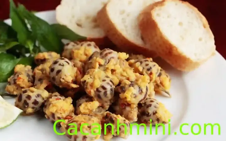 Top 10 Loại Ốc Biển Ngon Khó Cưỡng Ăn Là Ghiền