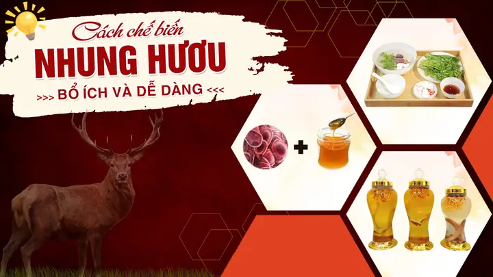 Cách Chế Biến Nhung Hươu Đầy Đủ & Chi Tiết Nhất Cách Chế Biến Nhung Hươu Đầy Đủ & Chi Tiết Nhất