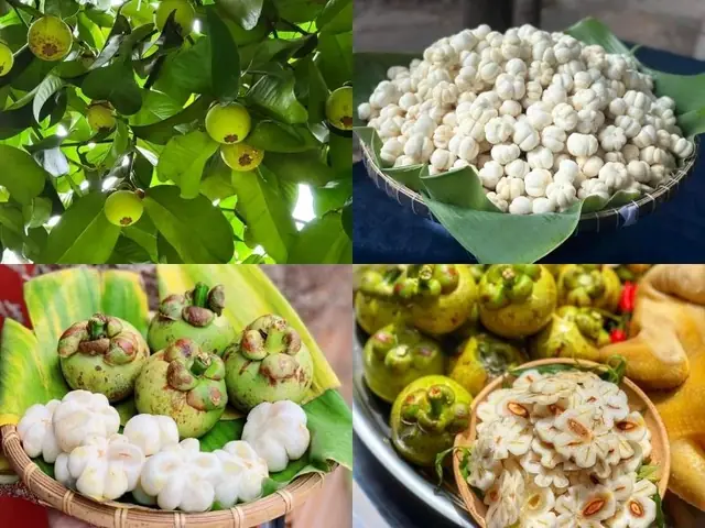 Cách Gọt Măng Cụt Xanh Chuẩn Vàng: Bí Quyết Giữ Trắng, Không Dập, Không Dính Mủ
