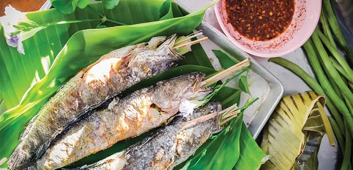 Cách Làm Cá Lóc Nướng Trui Chuẩn Vị: Hướng Dẫn Từ A Đến Z Cách Làm Cá Lóc Nướng Trui Chuẩn Vị: Hướng Dẫn Từ A Đến Z