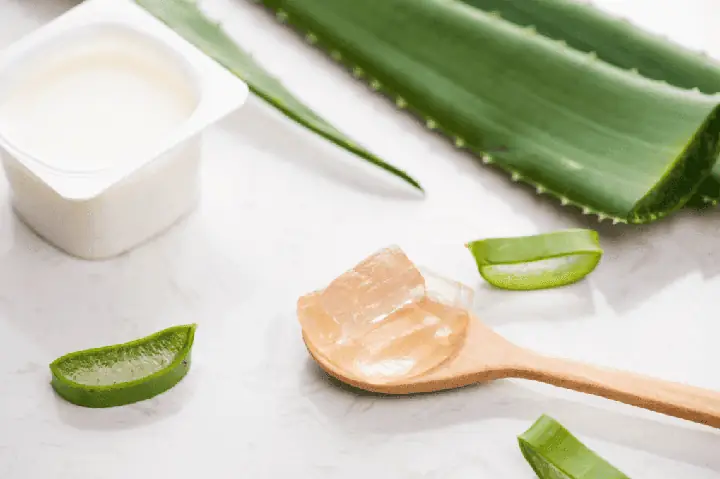 Cách Làm Sữa Chua Nha Đam Tại Nhà Đơn Giản
