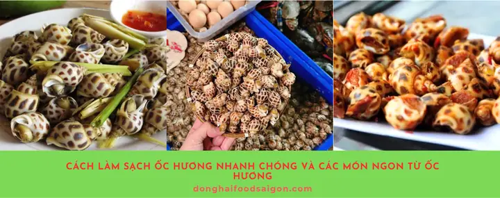 Cách Làm Sạch Ốc Hương Hoàn Hảo Và Các Món Ăn Từ Ốc Hương Cách Làm Sạch Ốc Hương Hoàn Hảo Và Các Món Ăn Từ Ốc Hương