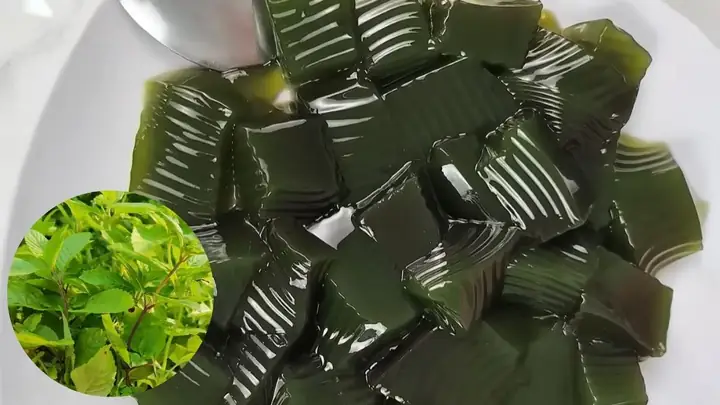 Cách Làm Sương Sáo Từ Lá Tươi Tại Nhà Đơn Giản, Dẻo Dai Cách Làm Sương Sáo Từ Lá Tươi Tại Nhà Đơn Giản, Dẻo Dai