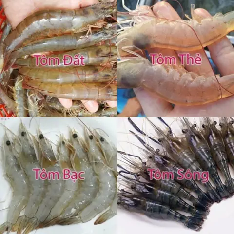 Cách Làm Tôm Khô Mềm Tại Nhà Đơn Giản, Đảm Bảo Dai Ngọt