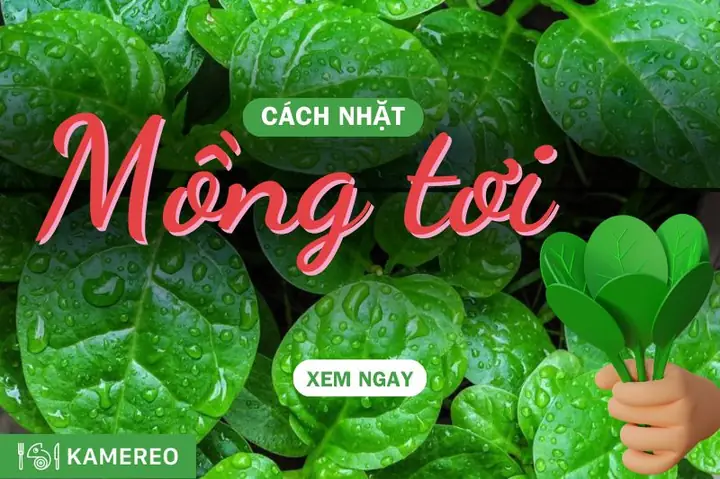 Cách Lặt Rau Mồng Tơi Chuẩn Nhà Nông: Tươi Ngon, Không Nhớt, Giữ Trọn Dinh Dưỡng Cách Lặt Rau Mồng Tơi Chuẩn Nhà Nông: Tươi Ngon, Không Nhớt, Giữ Trọn Dinh Dưỡng