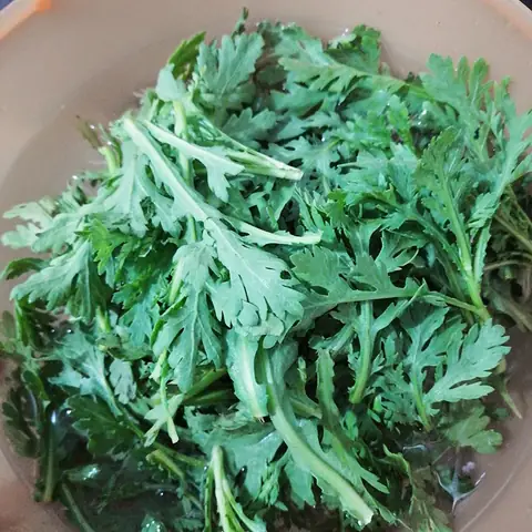 Cách Lặt Rau Tần Ô Đúng Chuẩn: Hướng Dẫn Chi Tiết Từ A-z Cách Lặt Rau Tần Ô Đúng Chuẩn: Hướng Dẫn Chi Tiết Từ A-z