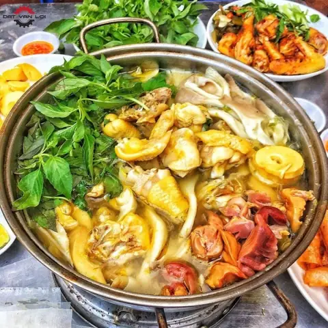 Cách Nấu Lẩu Gà La É Đà Lạt Chuẩn Vị, Đậm Đà Từ A-z Cách Nấu Lẩu Gà La É Đà Lạt Chuẩn Vị, Đậm Đà Từ A-z