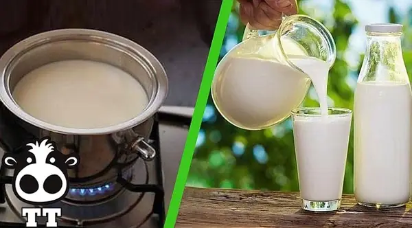 Cách Nấu Sữa Bò Tươi Đúng Cách: Giữ Nguyên Dinh Dưỡng Và Hương Vị Tự Nhiên