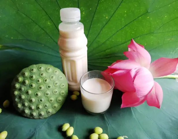 Hướng Dẫn Chi Tiết Cách Nấu Sữa Hạt Sen Bằng Máy Đơn Giản Tại Nhà Hướng Dẫn Chi Tiết Cách Nấu Sữa Hạt Sen Bằng Máy Đơn Giản Tại Nhà