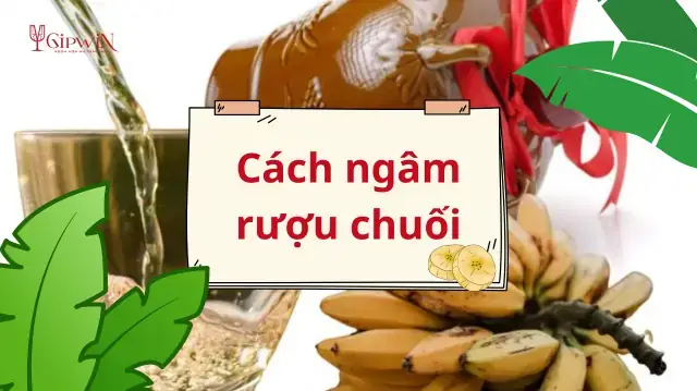 Hướng Dẫn Toàn Tập Cách Ngâm Rượu Chuối Sứ Thơm Ngon Tại Nhà Hướng Dẫn Toàn Tập Cách Ngâm Rượu Chuối Sứ Thơm Ngon Tại Nhà