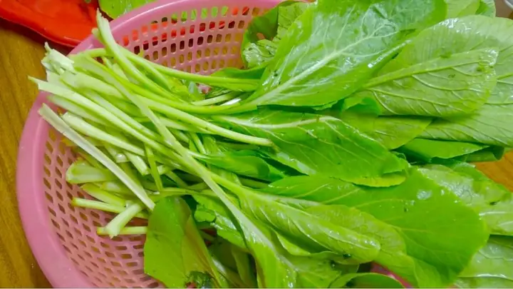 Cách Nhặt Rau Cải Ngọt Chuẩn Vệ Sinh, Giữ Trọn Dinh Dưỡng Cách Nhặt Rau Cải Ngọt Chuẩn Vệ Sinh, Giữ Trọn Dinh Dưỡng