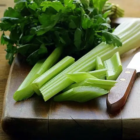 Cách Sơ Chế Cần Tây Đúng Cách: Hướng Dẫn Chi Tiết Từ A-z Cách Sơ Chế Cần Tây Đúng Cách: Hướng Dẫn Chi Tiết Từ A-z