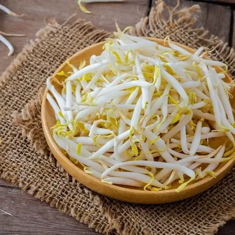 Hướng Dẫn Ủ Giá Bằng Khăn Tại Nhà: Quy Trình Chi Tiết & Mẹo Vàng Hướng Dẫn Ủ Giá Bằng Khăn Tại Nhà: Quy Trình Chi Tiết & Mẹo Vàng