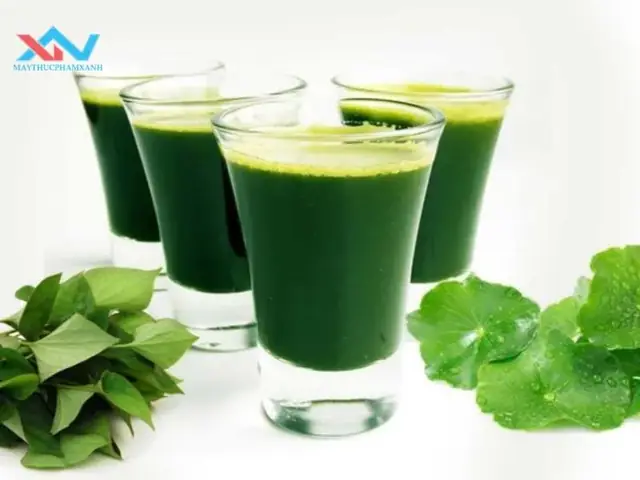 Cách Xay Rau Má Ngon: Bí Quyết Giữ Trọn Dinh Dưỡng Và Hương Vị Cách Xay Rau Má Ngon: Bí Quyết Giữ Trọn Dinh Dưỡng Và Hương Vị