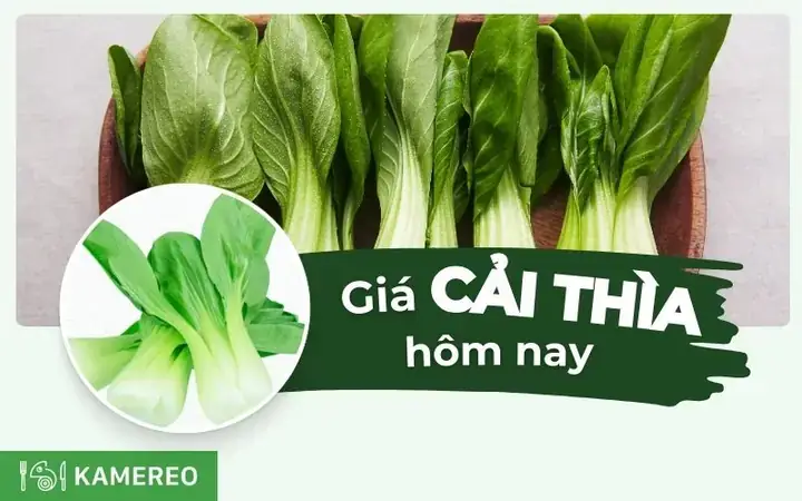 Cải Thìa Và Cải Chíp: So Sánh Chi Tiết Và Bí Quyết Chọn Dùng Đúng Cách Cải Thìa Và Cải Chíp: So Sánh Chi Tiết Và Bí Quyết Chọn Dùng Đúng Cách