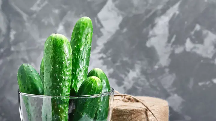 Dưa Chuột Bao Tử Là Gì? Hướng Dẫn Chọn Mua, Chế Biến Và Bảo Quản Đầy Đủ Dưa Chuột Bao Tử Là Gì? Hướng Dẫn Chọn Mua, Chế Biến Và Bảo Quản Đầy Đủ