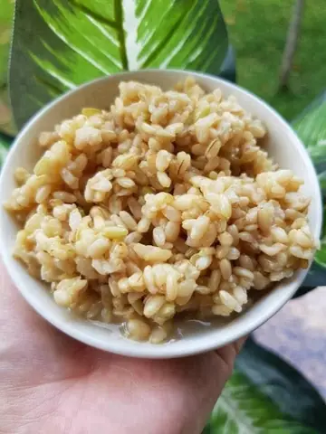 Cơm Rượu Để Được Bao Lâu Trong Tủ Lạnh? Bí Quyết Bảo Quản An Toàn Cơm Rượu Để Được Bao Lâu Trong Tủ Lạnh? Bí Quyết Bảo Quản An Toàn