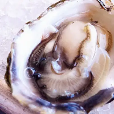 Con Hàu Là Gì? Phân Biệt Con Hàu Và Con Hào Con Hàu Là Gì? Phân Biệt Con Hàu Và Con Hào