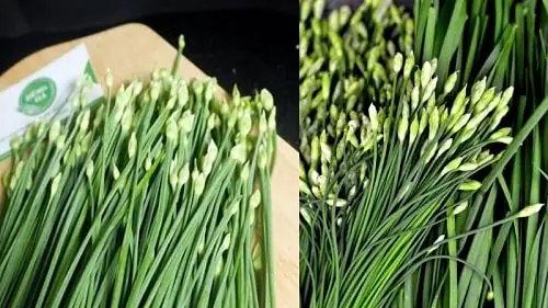 Công Dụng Của Bông Hẹ: Từ Nấu Ăn Đến Dưỡng Sinh Công Dụng Của Bông Hẹ: Từ Nấu Ăn Đến Dưỡng Sinh