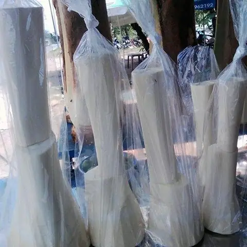 Củ Hủ Dừa Là Gì Và Mua Ở Đâu Uy Tín? Củ Hủ Dừa Là Gì Và Mua Ở Đâu Uy Tín?