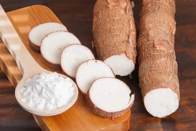 Củ Sắn Miền Bắc Gọi Là Gì? Tổng Tất Tần Tật Từ Tên Gọi Đến Công Dụng Củ Sắn Miền Bắc Gọi Là Gì? Tổng Tất Tần Tật Từ Tên Gọi Đến Công Dụng