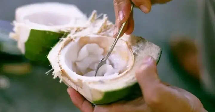 Cùi Dừa Non Có Tác Dụng Gì? Cẩm Nang Toàn Diện Từ A Đến Z Cùi Dừa Non Có Tác Dụng Gì? Cẩm Nang Toàn Diện Từ A Đến Z