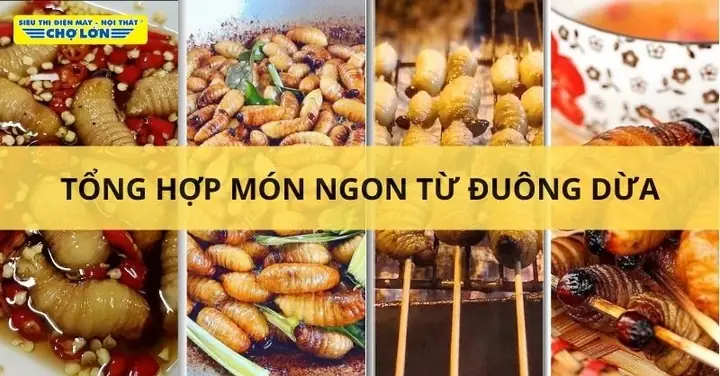 Đuông Dừa Làm Món Gì Ngon? Tổng Hợp 8 Món Ngon Đậm Chất Miền Tây