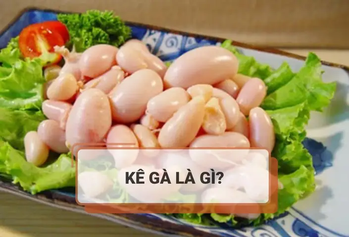 Kê Gà Là Gì? Tổng Hợp Đầy Đủ Thông Tin Kê Gà Là Gì? Tổng Hợp Đầy Đủ Thông Tin