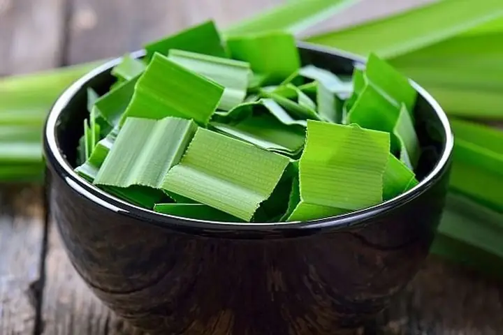 Lá Dứa Và Lá Nếp: Giải Đáp Thắc Mắc & Hướng Dẫn Sử Dụng Chi Tiết Cho Món Ngon Lá Dứa Và Lá Nếp: Giải Đáp Thắc Mắc & Hướng Dẫn Sử Dụng Chi Tiết Cho Món Ngon