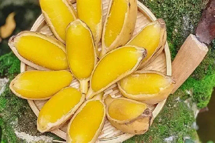 Cách Luộc Chuối Chuẩn Vị: Thời Gian Và Mẹo Vàng Cách Luộc Chuối Chuẩn Vị: Thời Gian Và Mẹo Vàng