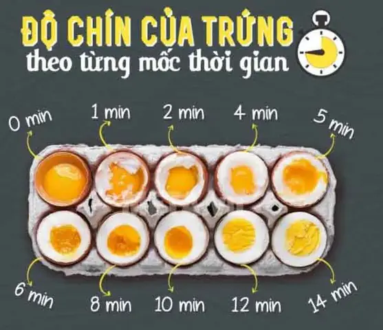 Hướng Dẫn Chi Tiết: Luộc Trứng Cút Lộn Bao Nhiêu Phút Để Chín Hoàn Hảo? Hướng Dẫn Chi Tiết: Luộc Trứng Cút Lộn Bao Nhiêu Phút Để Chín Hoàn Hảo?