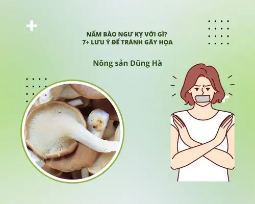Nấm Bào Ngư Kỵ Với Gì? Danh Sách 7+ Thực Phẩm Cần Tránh Nấm Bào Ngư Kỵ Với Gì? Danh Sách 7+ Thực Phẩm Cần Tránh