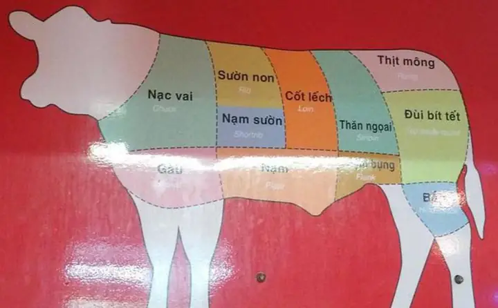 Nấm Bò Là Gì? Cách Nhận Biết, Dùng & Bảo Quản Đúng Cách