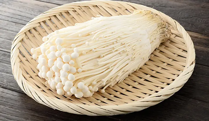 Nấm Kim Châm Giá Bao Nhiêu? So Sánh 5 Địa Điểm Mua Uy Tín Nhất Nấm Kim Châm Giá Bao Nhiêu? So Sánh 5 Địa Điểm Mua Uy Tín Nhất
