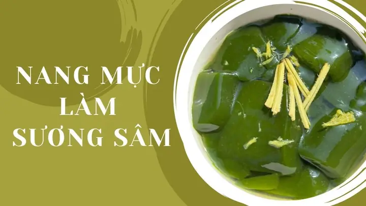 Cách Làm Sương Sâm Bằng Nang Mực Chuẩn Vị, Dai Giòn Từ A-z Cách Làm Sương Sâm Bằng Nang Mực Chuẩn Vị, Dai Giòn Từ A-z