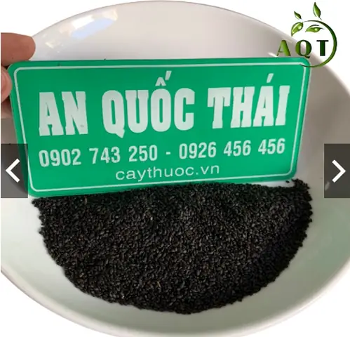 Ngâm Hạt É Bằng Nước Nóng Hay Lạnh: So Sánh Chi Tiết Và Ứng Dụng Thực Tế Ngâm Hạt É Bằng Nước Nóng Hay Lạnh: So Sánh Chi Tiết Và Ứng Dụng Thực Tế