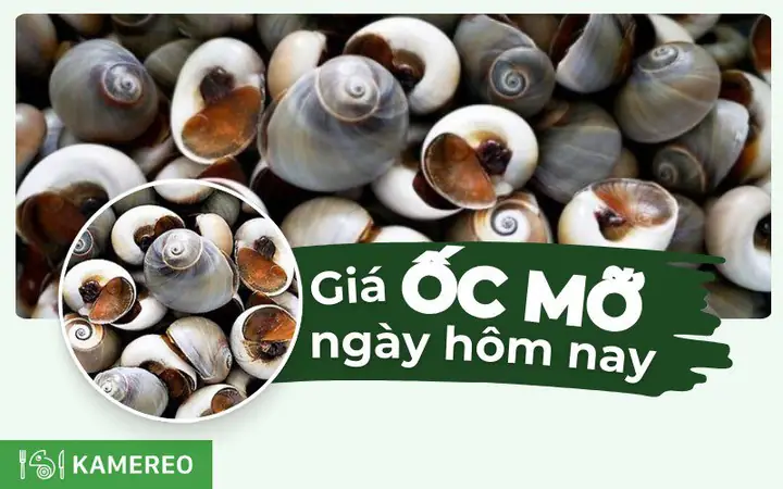 Giá Ốc Mỡ 1kg Cập Nhật Mới Nhất: Bảng Chi Tiết Theo Size & Mẹo Chọn Ngon