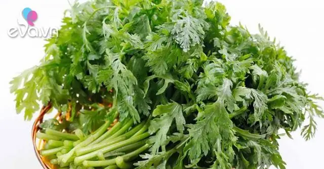 Rau Tần Ô Là Gì? Công Dụng Và Cách Chế Biến Đầy Đủ Nhất Rau Tần Ô Là Gì? Công Dụng Và Cách Chế Biến Đầy Đủ Nhất
